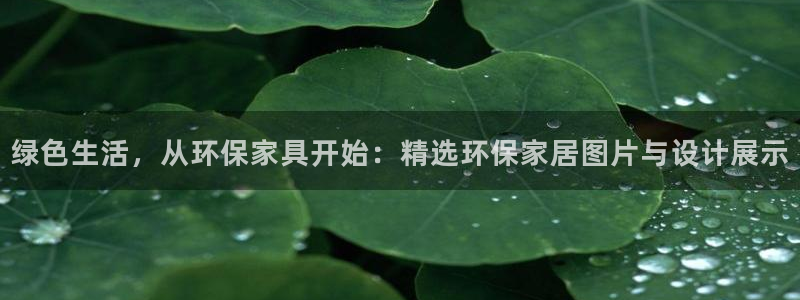 tptp下载官方安装_网页搜索