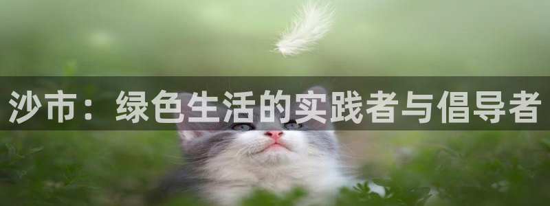 TP钱包tp卡转账秒到吗