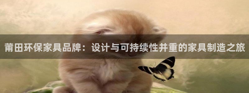 tp钱包aPP手机号在哪里找