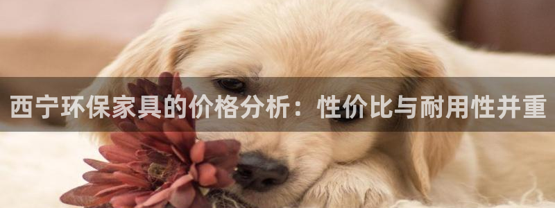tp钱包VGL