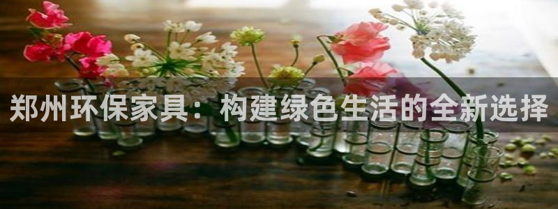 TP钱包安卓版最新：郑州环保家具：构建绿色生活的全新选择