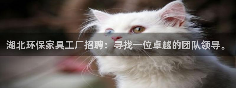 tp 钱包app