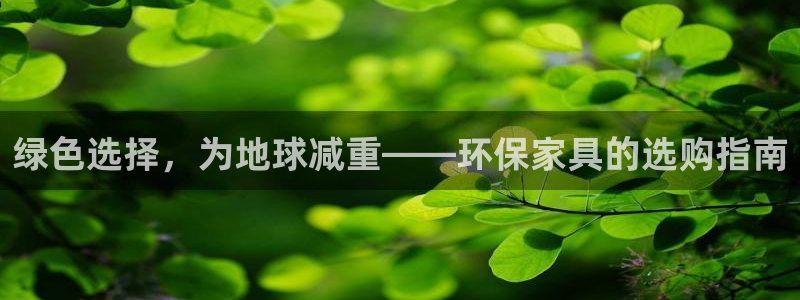tp钱包bsc地址在哪里
