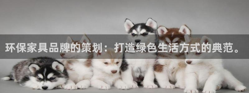 tp钱包 教程