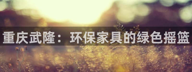 tp钱包 提币：重庆武隆：环保家具的绿色摇篮