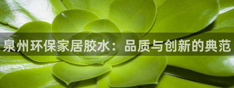 tp钱包app下载入口