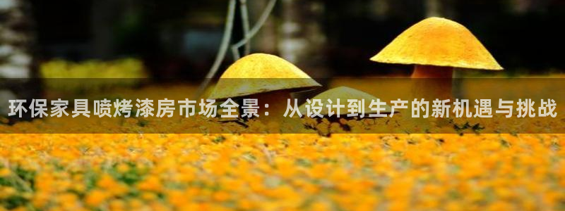 tp钱包BNB怎么转出