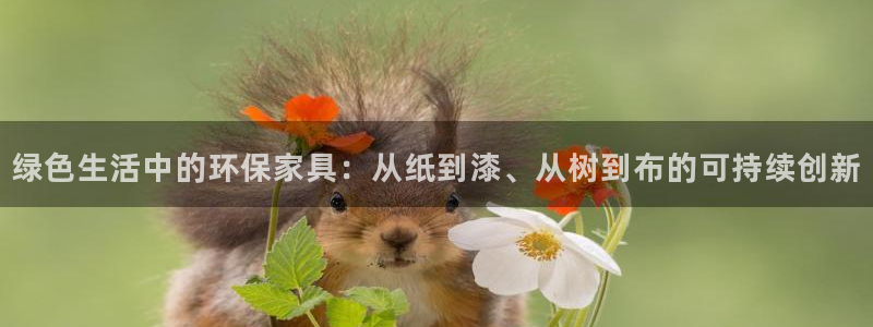 TP钱包安卓版下载1.6.9：绿色生活中的环保家具：从纸到漆