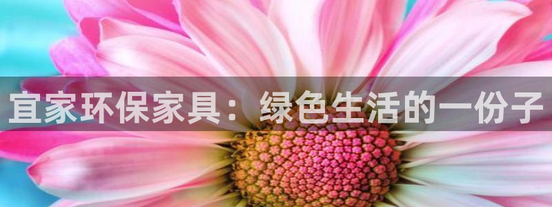 tp加速器安装下载
