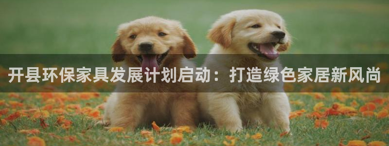 TP钱包Pol网络的钱怎么转到波场网络