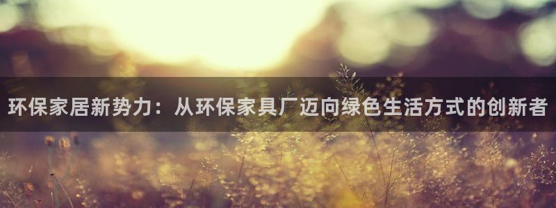 tp钱包joog：环保家居新势力：从环保家具厂迈向绿色生活方