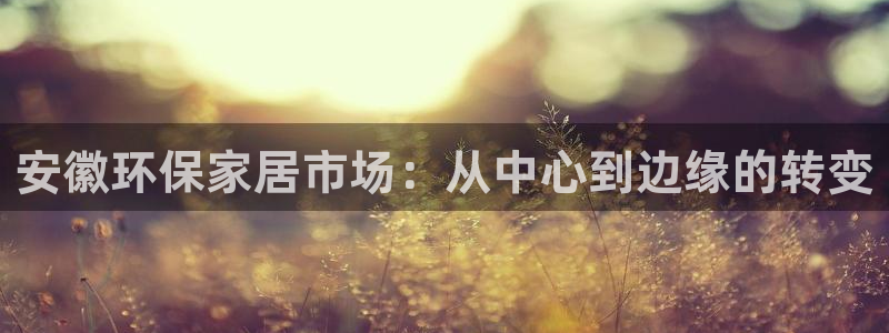 tplogin.in：安徽环保家居市场：从中心到边缘的转变