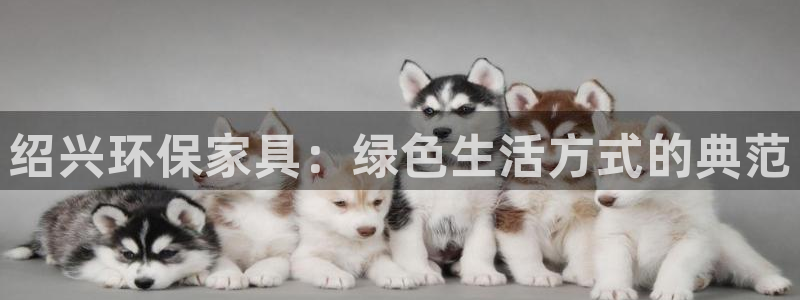 tp钱包usdt怎么转出：绍兴环保家具：绿色生活方式的典范