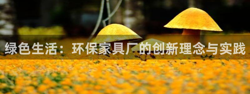 tp钱包 待支付