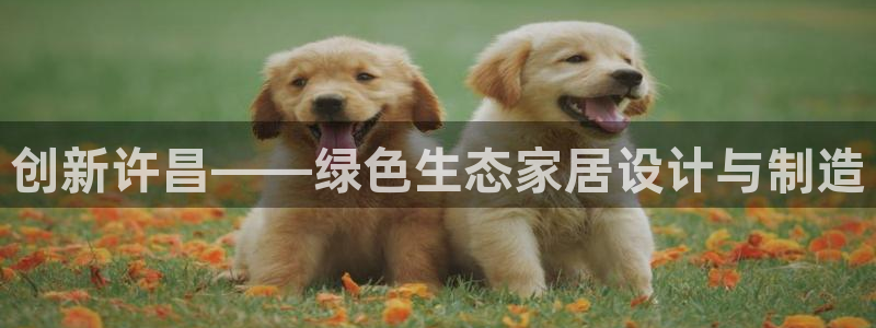 tp官方下载安卓最新版本2025：创新许昌——绿色生态家居设