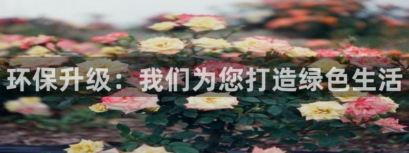 tptp官方下载安卓2024