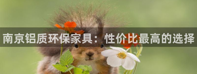 tp钱包u被转走怎么办