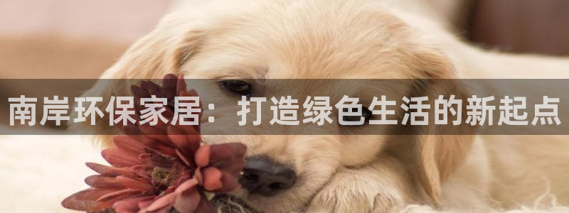 tp钱trx包智能合约可靠吗：南岸环保家居：打造绿色生活的新