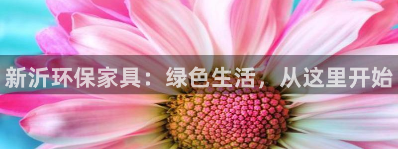 tp钱包安卓下载教程：新沂环保家具：绿色生活，从这里开始