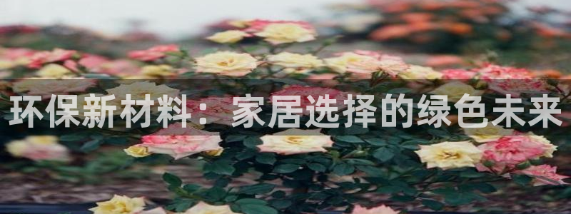 TP观察钱包下载