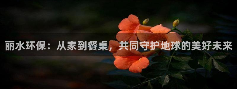 tp钱包 被盗：丽水环保：从家到餐桌，共同守护地球的美好未来