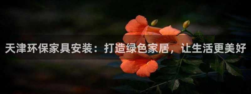 tp钱包pro：天津环保家具安装：打造绿色家居，让生活更美好