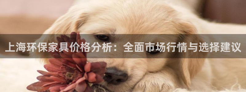 tptp官方下载安装