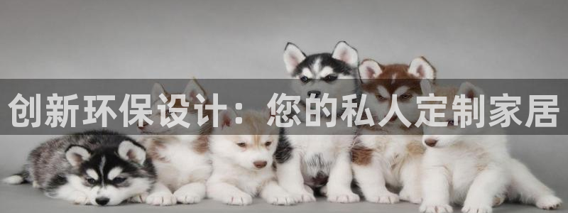 imtoken与tp钱包
