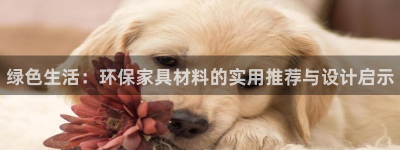 tp钱包pancakeswap打不开怎么反应