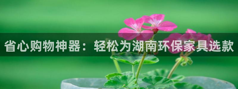 tp钱包usdt